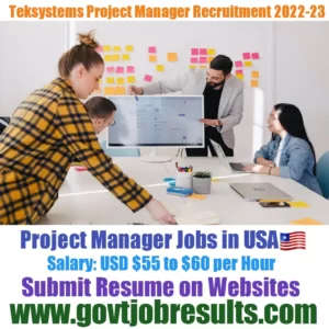 Tek Systems Project Manager Recruitment 2022-23