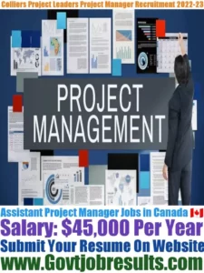 Colliers Project Leaders Assistant Project Manager Recruitment 2022-23