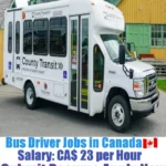 Kingston Access Bus Services