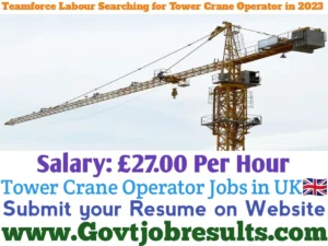 Teamforce Labour Searching for Tower Crane Operator in 2023