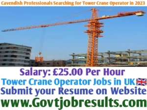 Cavendish Professionals Searching for Tower Crane Operator in 2023
