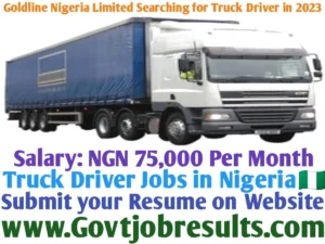 Goldline Nigeria Limited Searching for Truck Driver in 2023