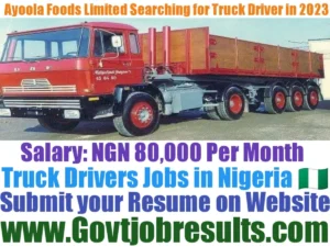 Ayoola Foods Limited Searching for Truck Driver in 2023