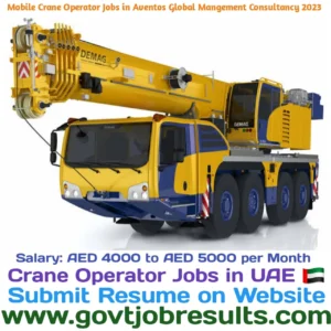 Mobile Crane Operator Jobs in Aventos Global Management Consultancy 2023