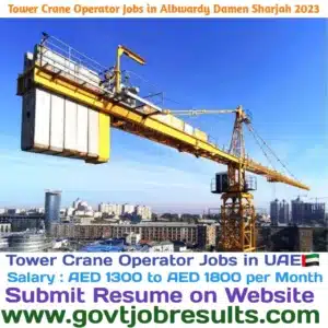 Tower Crane Operator Jobs in Albwardy Damen Sharjah in 2023