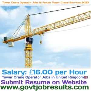 Tower Crane Operator Jobs in Falcon Tower Crane Services 2023