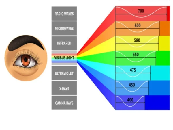How many colours are present in Visible light of Sun?