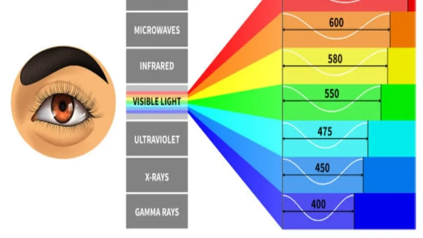 How many colours are present in Visible light of Sun?