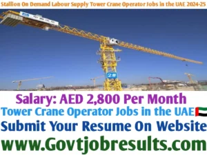 Stallion On Demand Labour Supply Tower Crane Operator Jobs in the UAE 2024-25