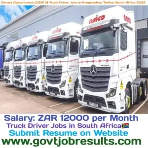 Dames Appointment CODE 14 Truck Driver Jobs in Krugeresdorp Tarlton South Africa 2024