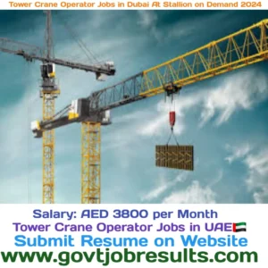 Tower Crane Operator Jobs in Dubai At Stallion on Demand 2024