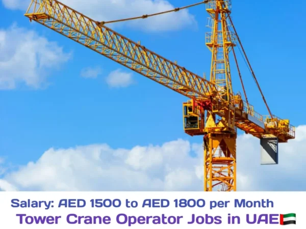 Rapidex Transport Tower Crane Operator Jobs in Abu Dhabi 2024