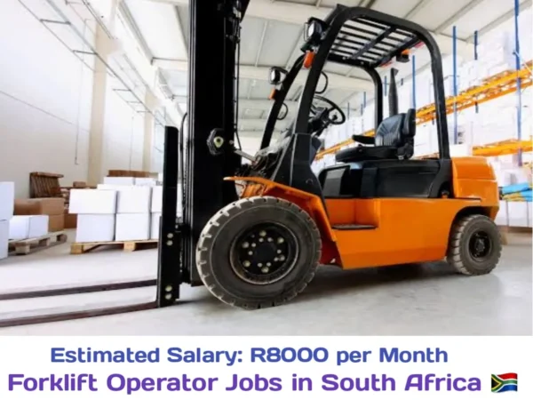 Granor Passi Forklift Driver Jobs in Kempton Park 2024