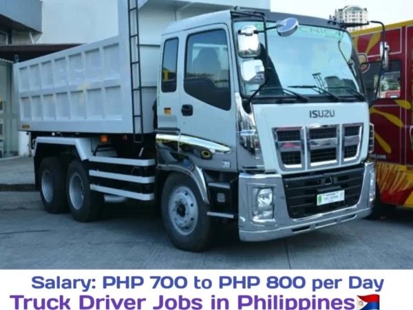 Lucky Twinscale Corporation Delivery Truck Driver Recruitment in Cubao 2024