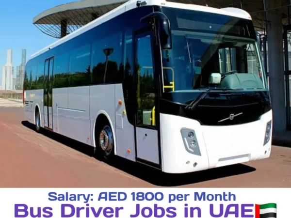 Summit Labour Supply Bus Driver Jobs in Dubai 2024