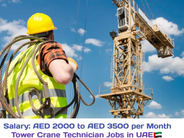 Tower Crane Technician Jobs in Dubai at Al Fanyoun International in 2024