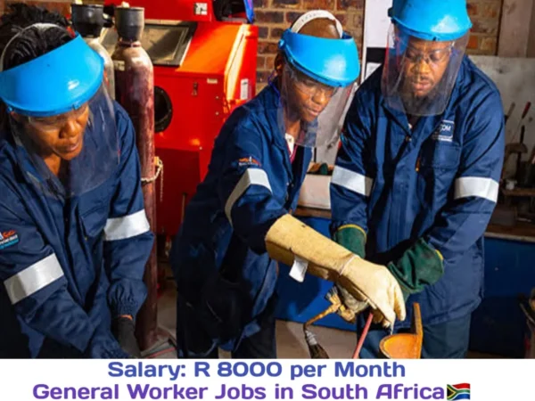 Henwil Chickens Vacancies for General Worker in Lichtenburg South Africa 2024